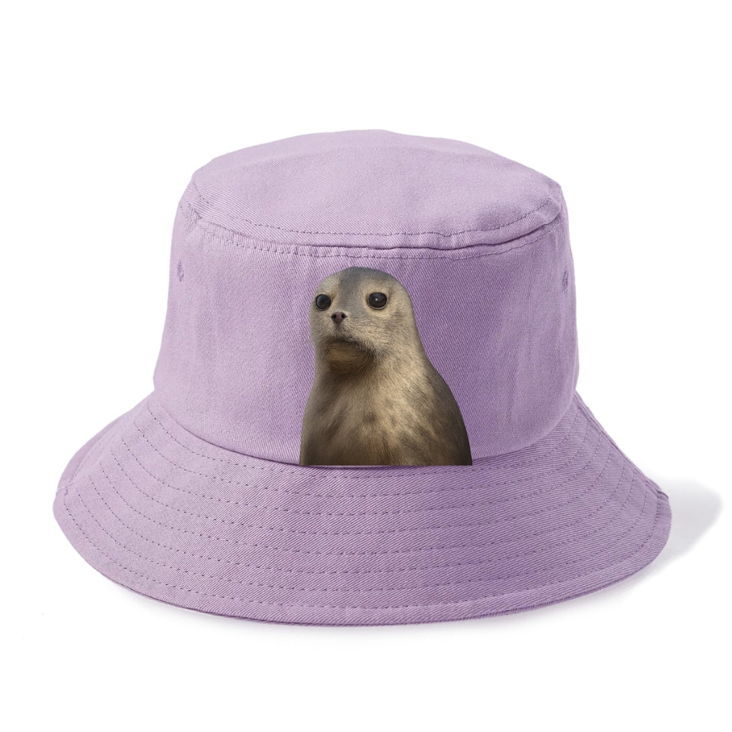 seal portrait design Hat
