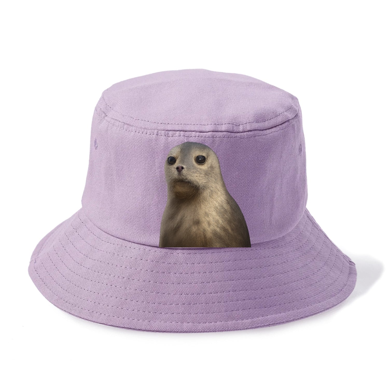 seal portrait design Hat