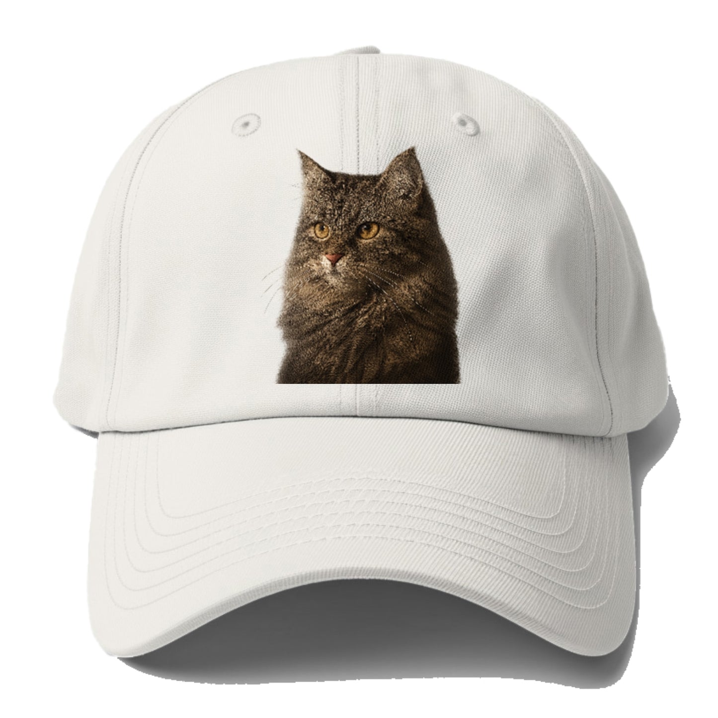 domestic-longhair-graceful-charm Hat