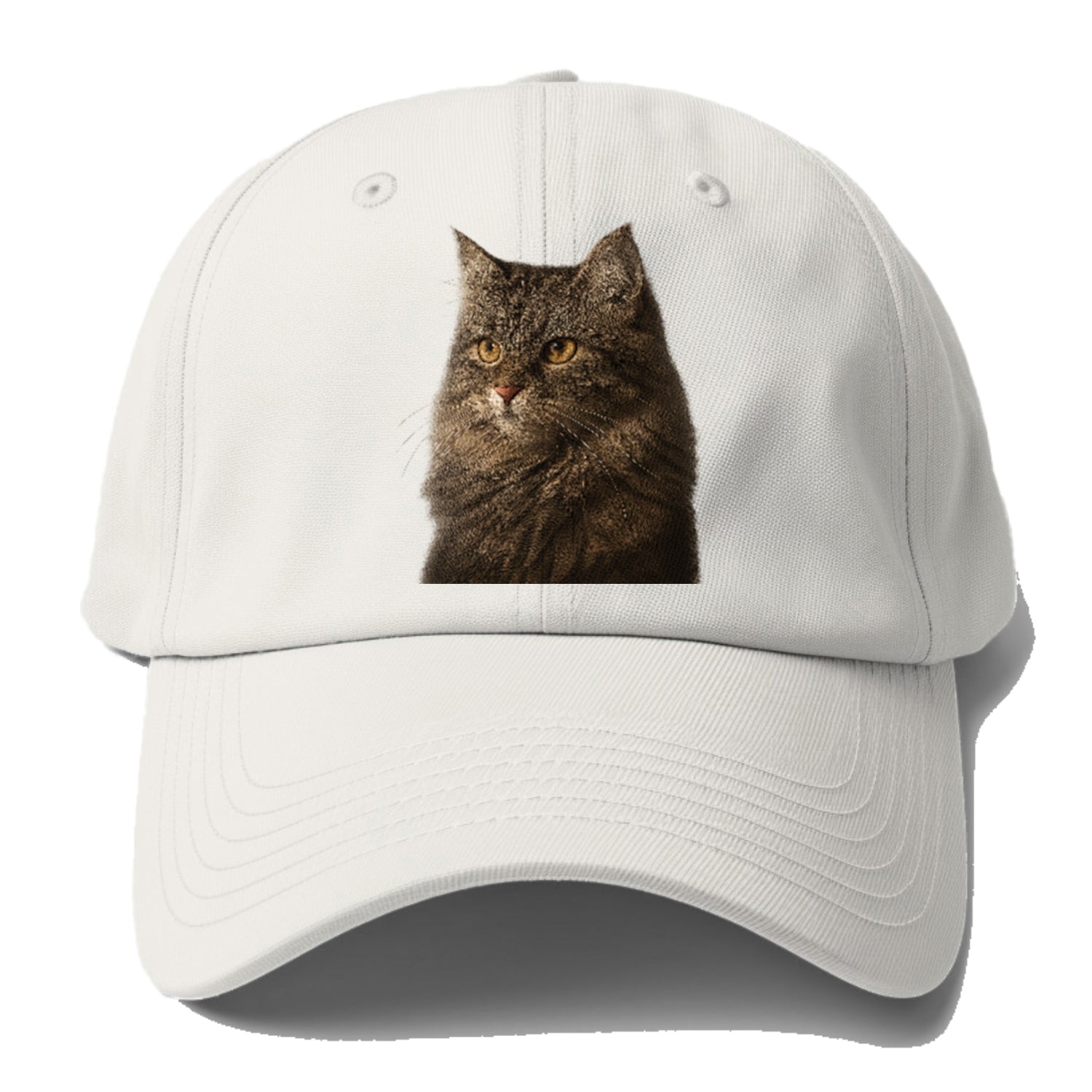 domestic-longhair-graceful-charm Hat