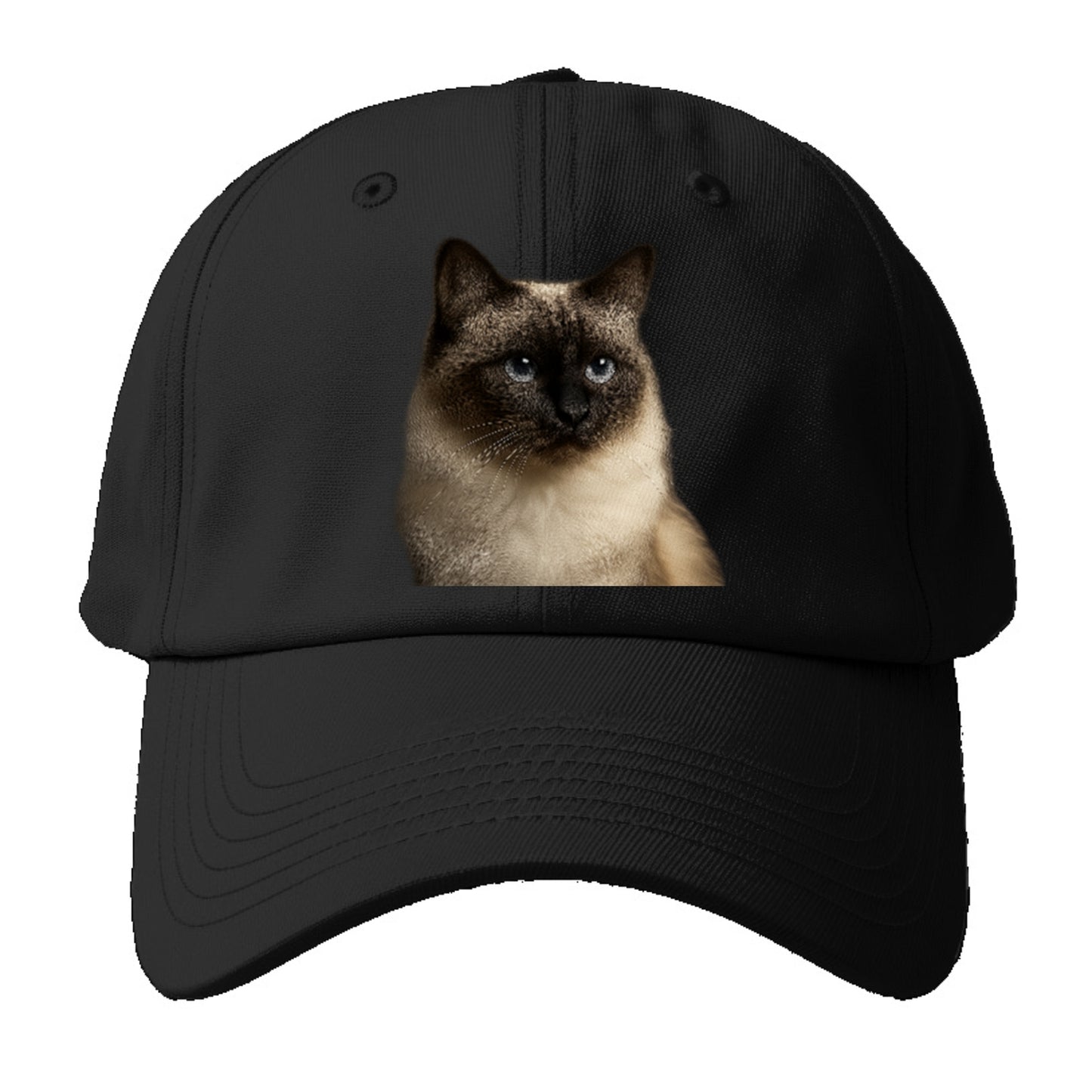 birman-cat-serene-elegance Hat