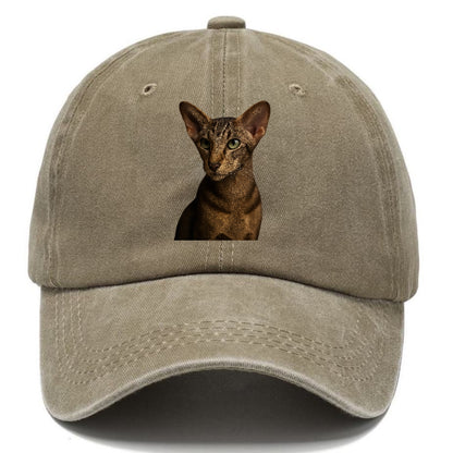 oriental-shorthair-sleek-charm Hat