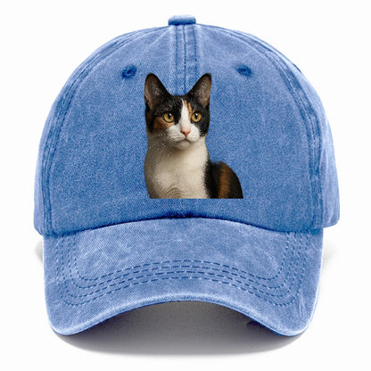 japanese-bobtail-playful-charm Hat