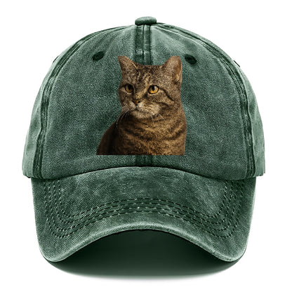 american-wirehair-unique-texture Hat