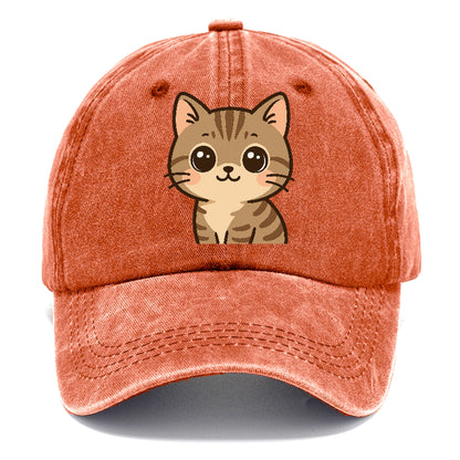 domestic-shorthair-playful-spirit Hat
