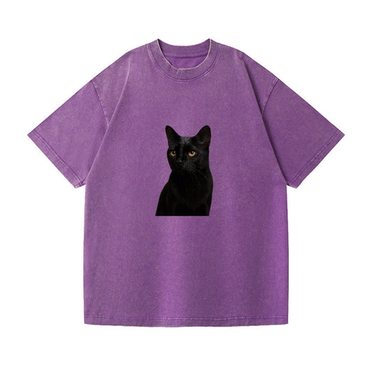 bombay-sleek-mystique Hat