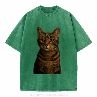 brown-tabby-playful-spirit Hat