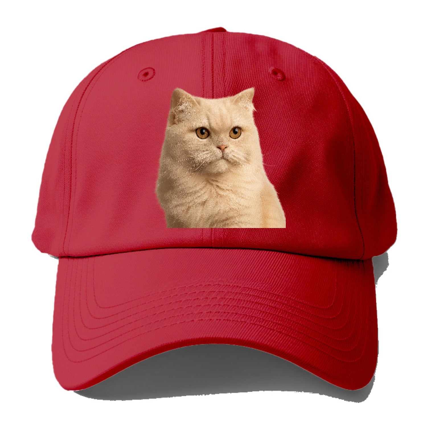 cream-persian-fluffy-elegance Hat