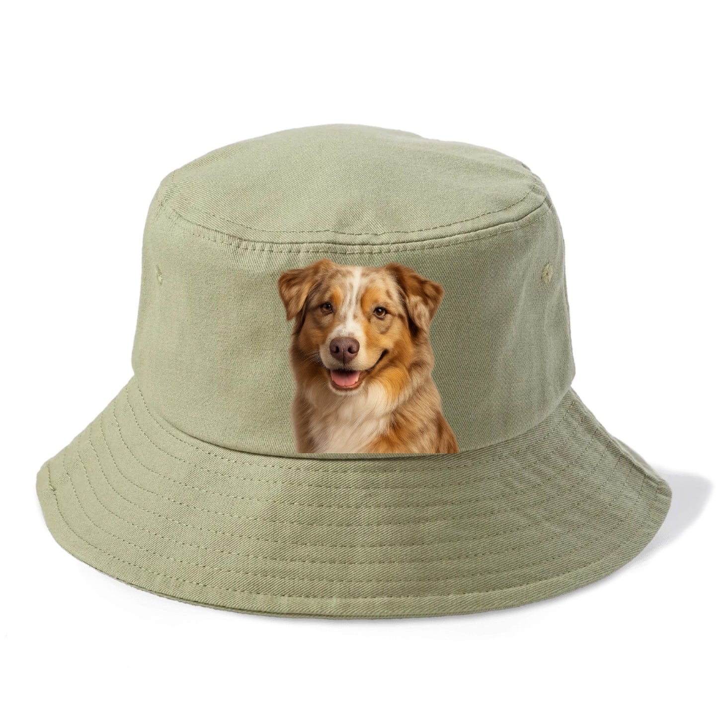 red merle australian shepherd portrait design Hat