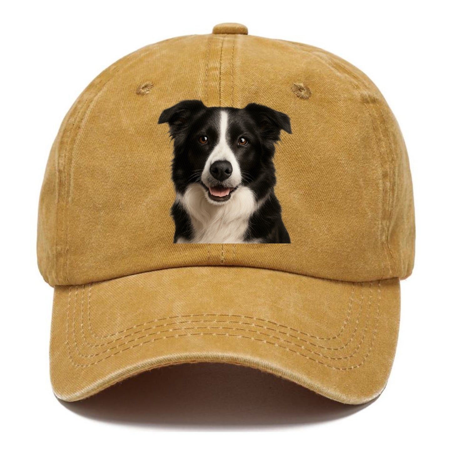 border collie: agile mind, loyal heart Hat