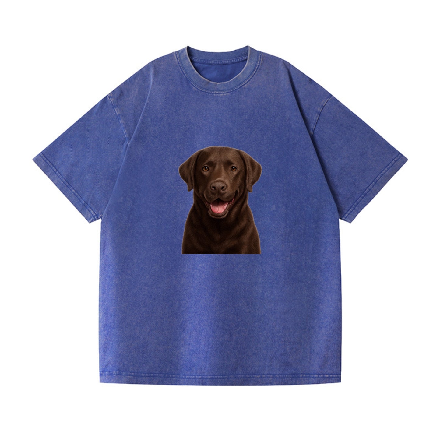 labrador friendly family Hat