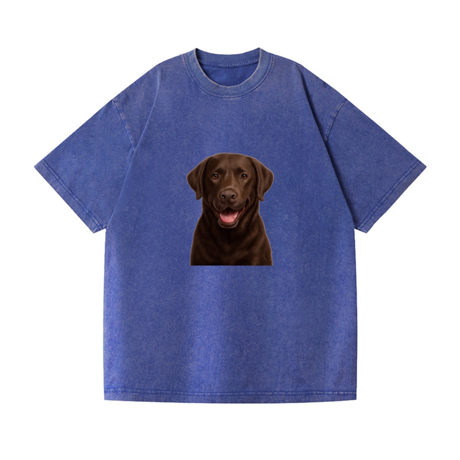 labrador friendly family Hat