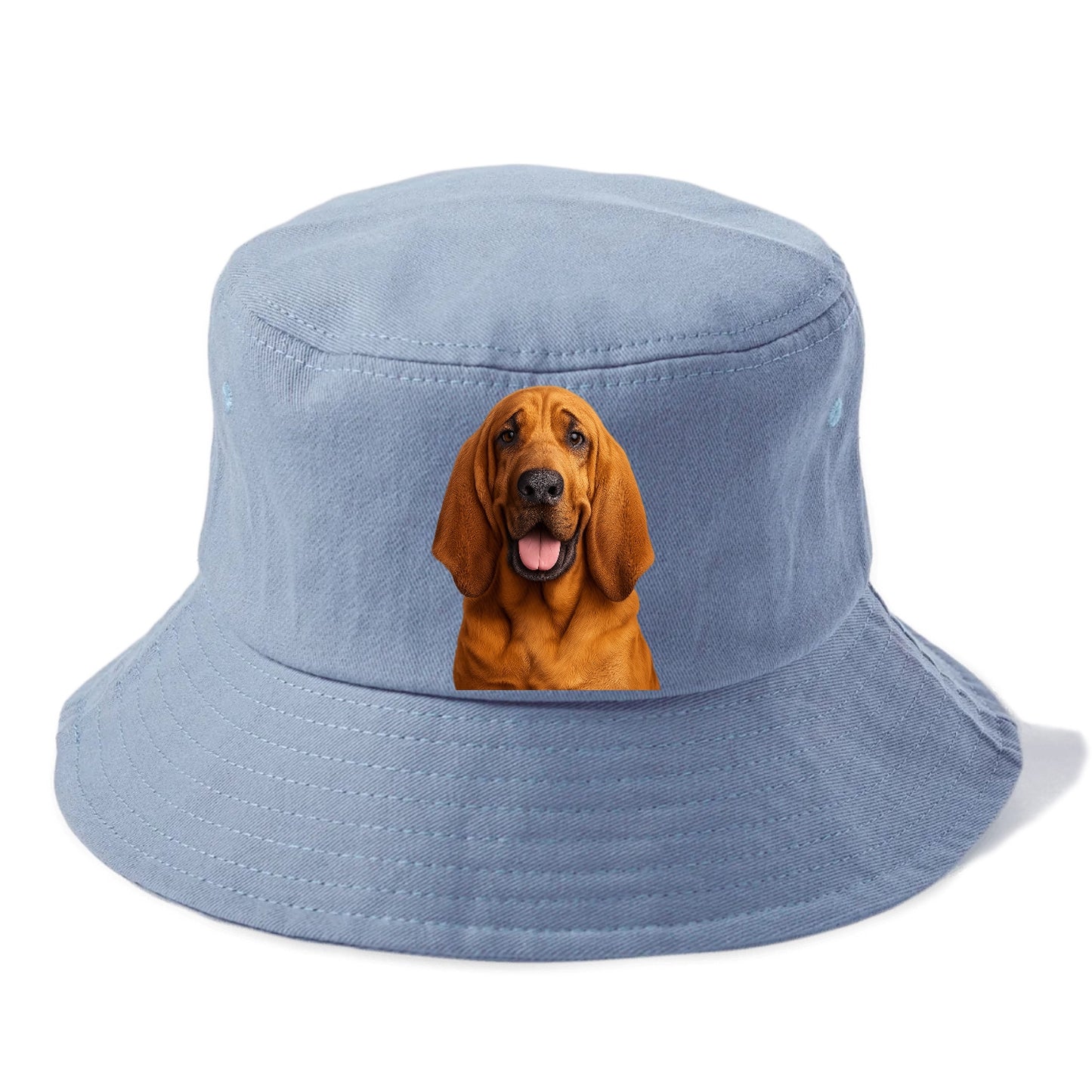 bloodhound: scent of nobility Hat