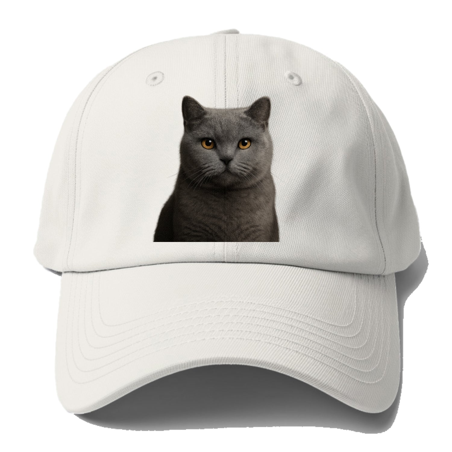 british shorthair dignified charm Hat