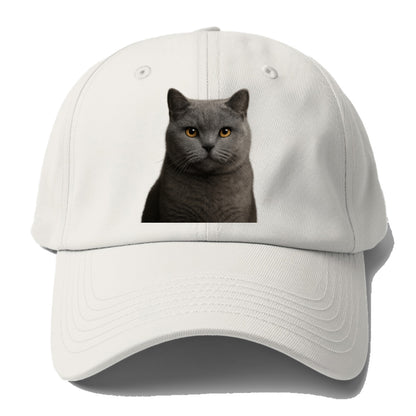 british shorthair dignified charm Hat