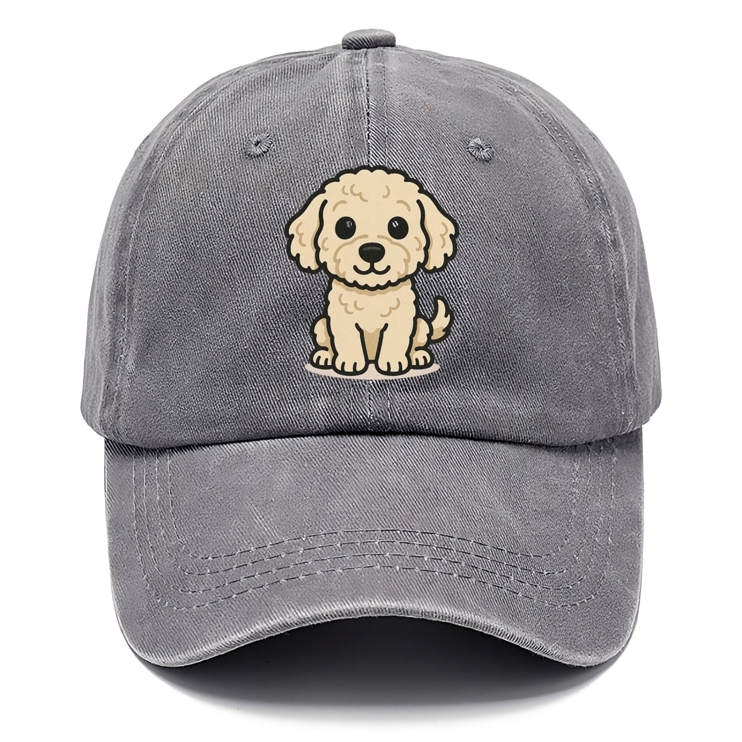 labradoodle curly cream sitting pose portrait design Hat