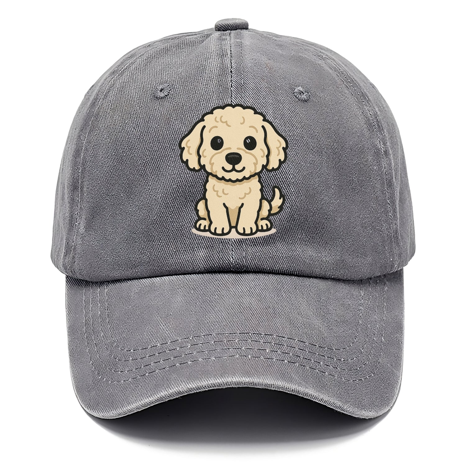 labradoodle curly cream sitting pose portrait design Hat