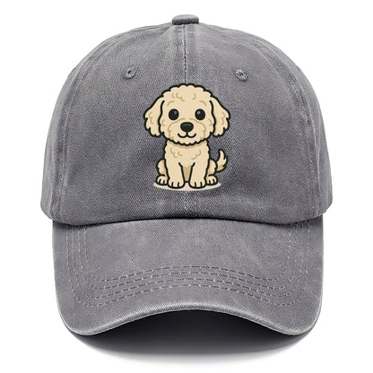 labradoodle curly cream sitting pose portrait design Hat