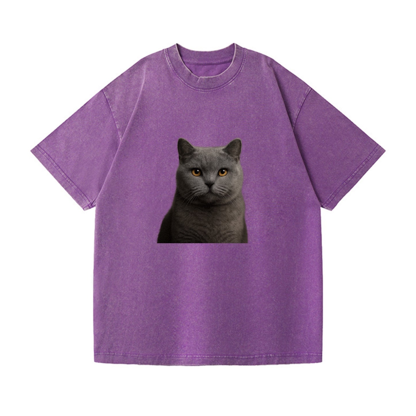 british shorthair dignified charm Hat