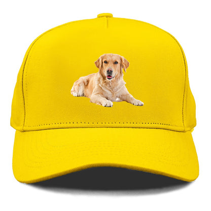 Golden Retriever laying dow Hat