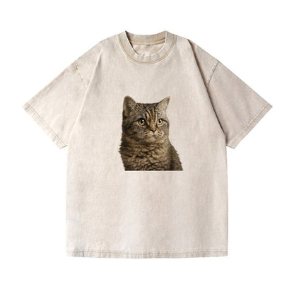 lambkin-sweet-gentle-spirit Hat