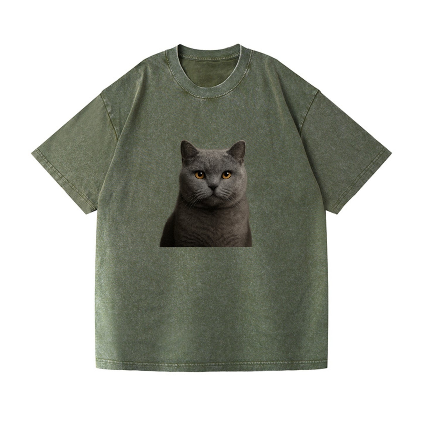 british shorthair dignified charm Hat