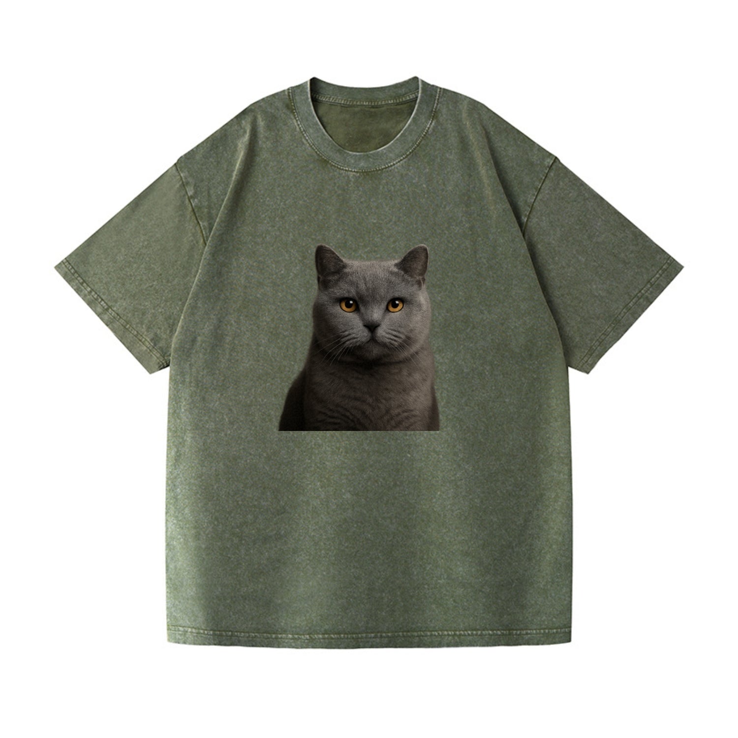 british shorthair dignified charm Hat