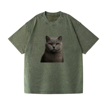 british shorthair dignified charm Hat