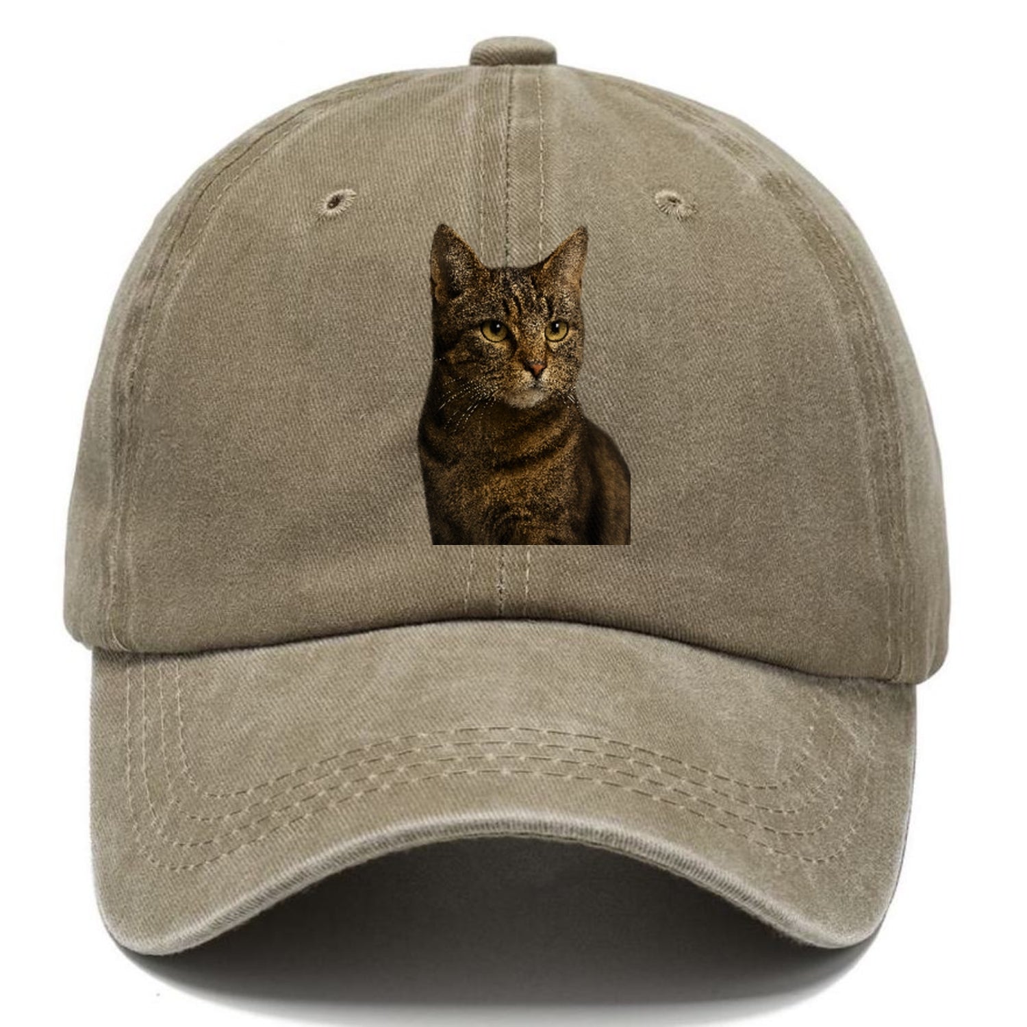 barn-cat-rustic-charm Hat