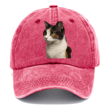 japanese-bobtail-playful-spirit Hat