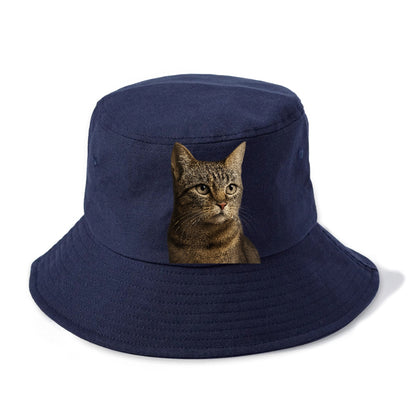 stray-cat-resilient-spirit Hat