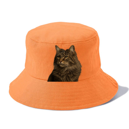 norwegian-forest-cat-wild-majesty Hat