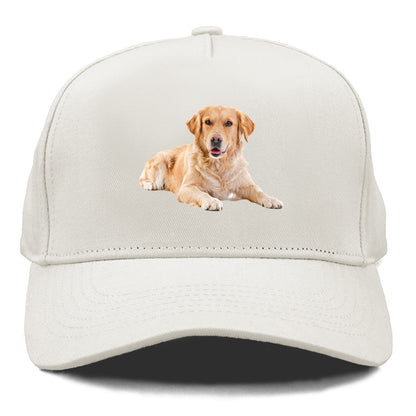 Golden Retriever laying dow Hat