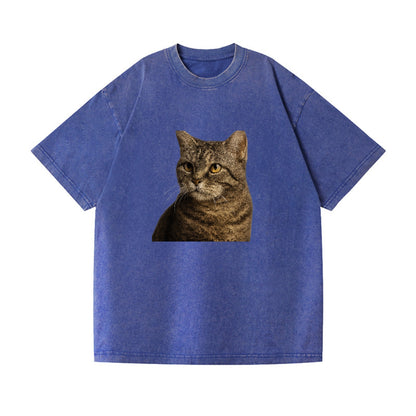 american-wirehair-unique-texture Hat