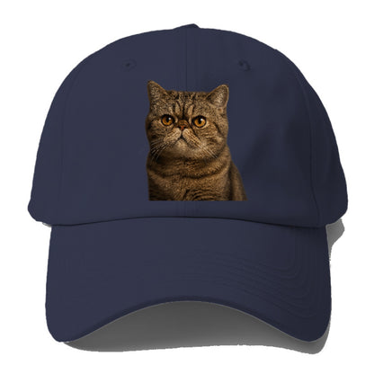exotic-shorthair-charm Hat