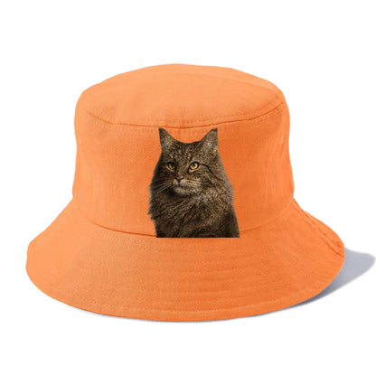 norwegian-forest-cat-wilderness-spirit Hat