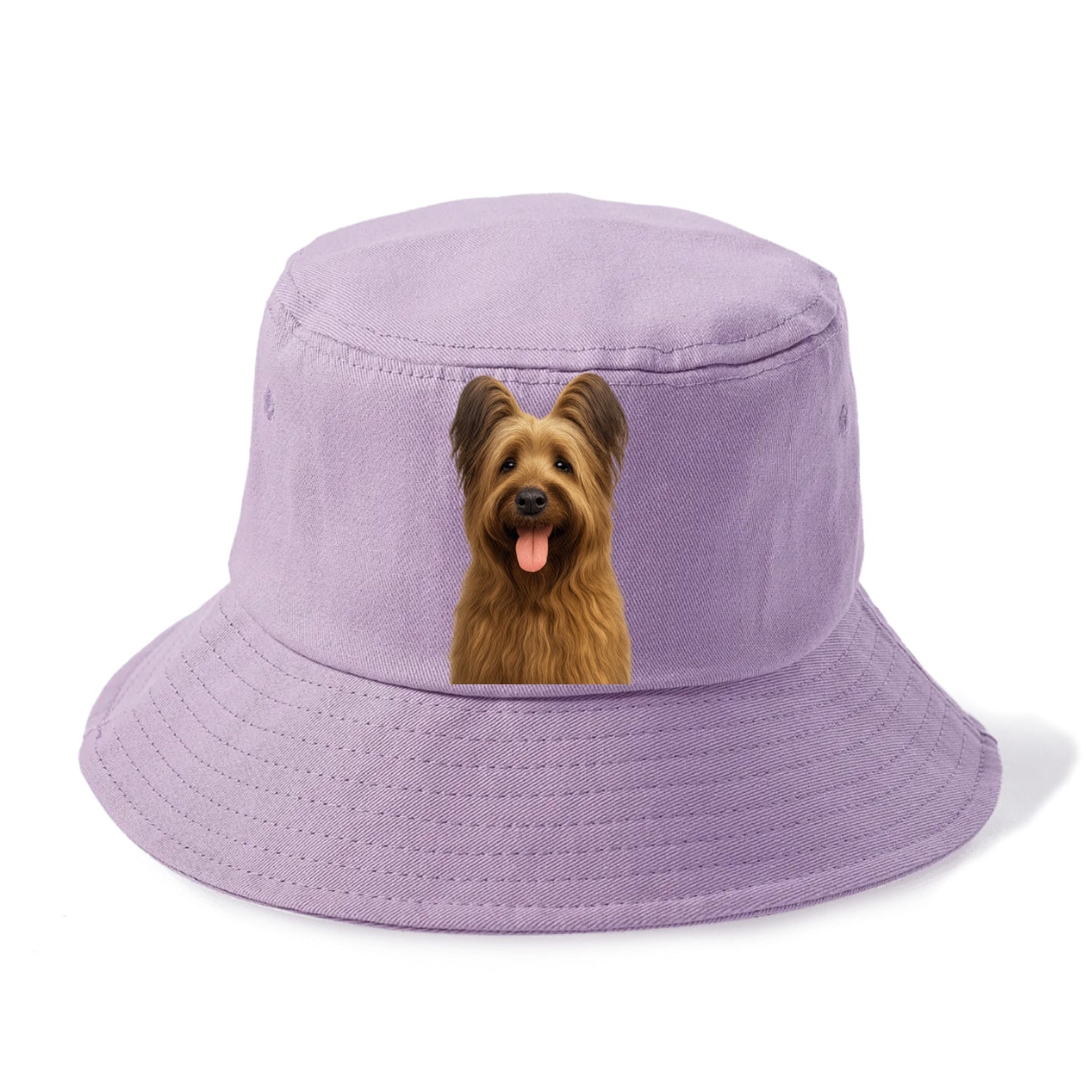 briard: majestic heart, shaggy soul Hat