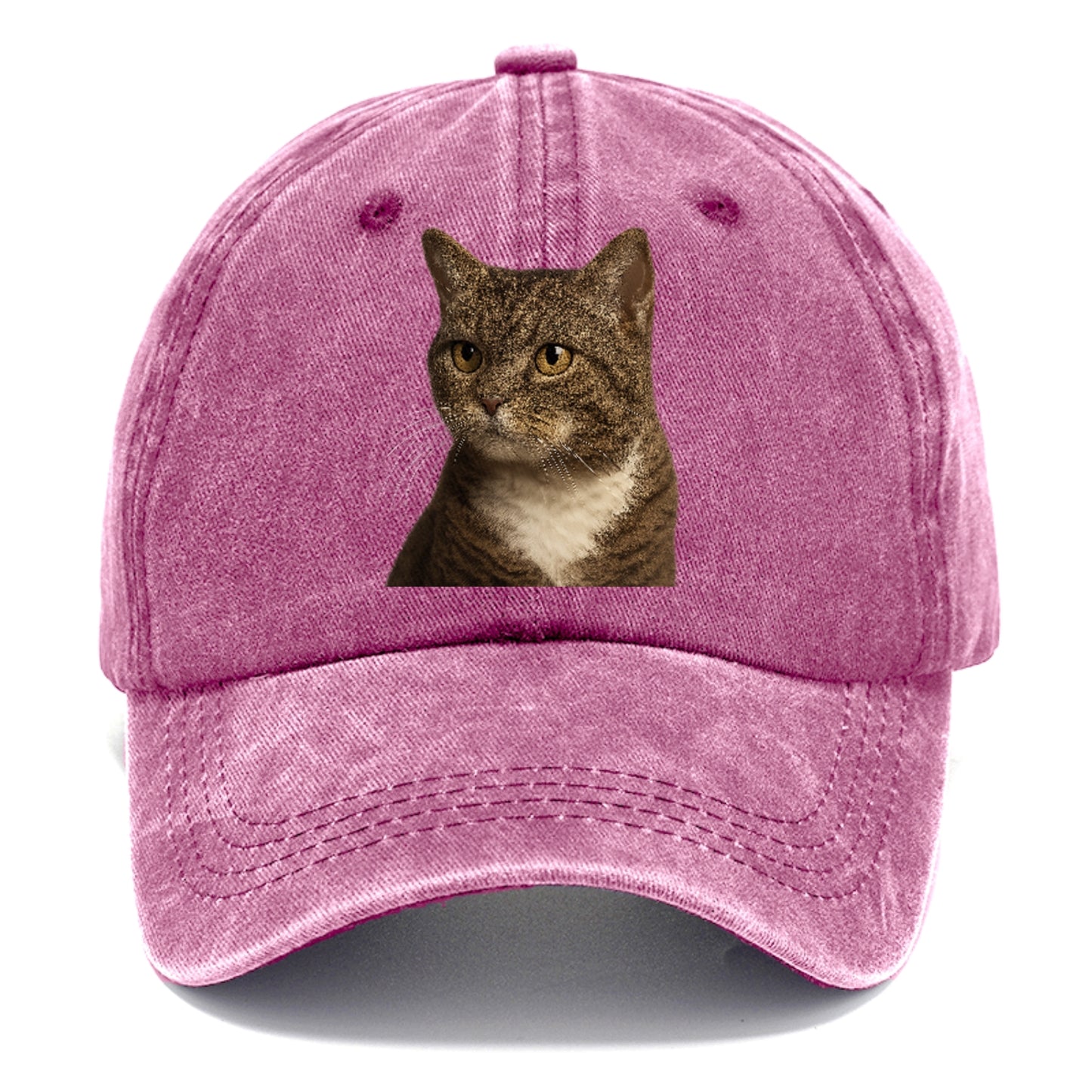 american-wirehair-unique-charm Hat