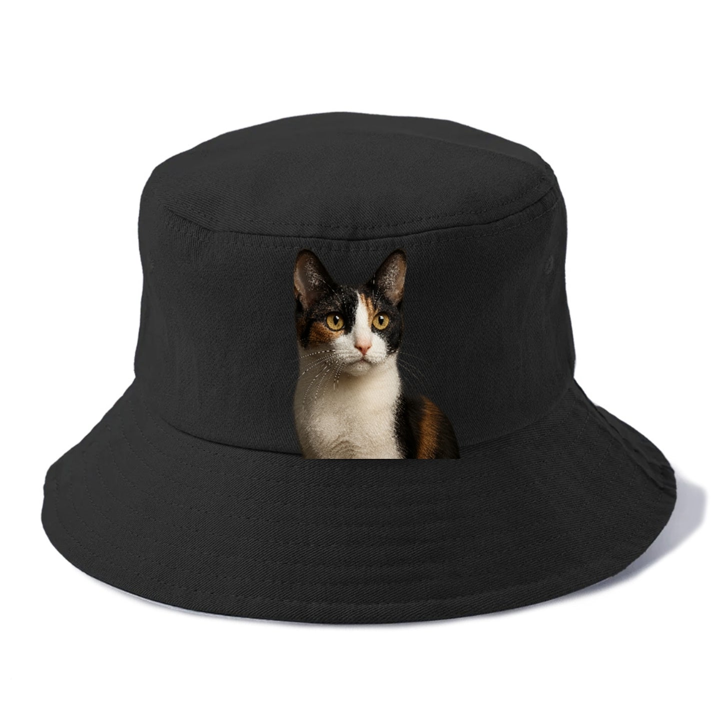 japanese-bobtail-playful-charm Hat