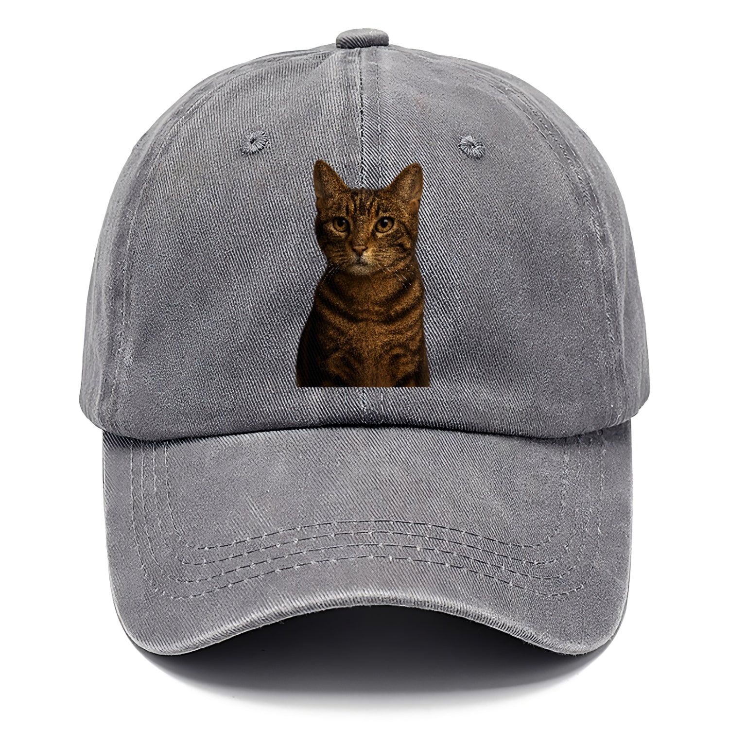 brown-tabby-playful-spirit Hat