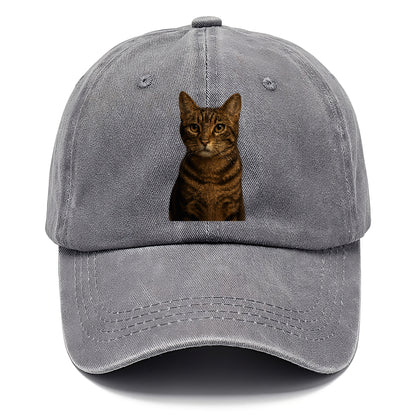 brown-tabby-playful-spirit Hat