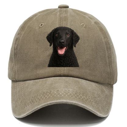 coated retriever: spirited & iconic Hat