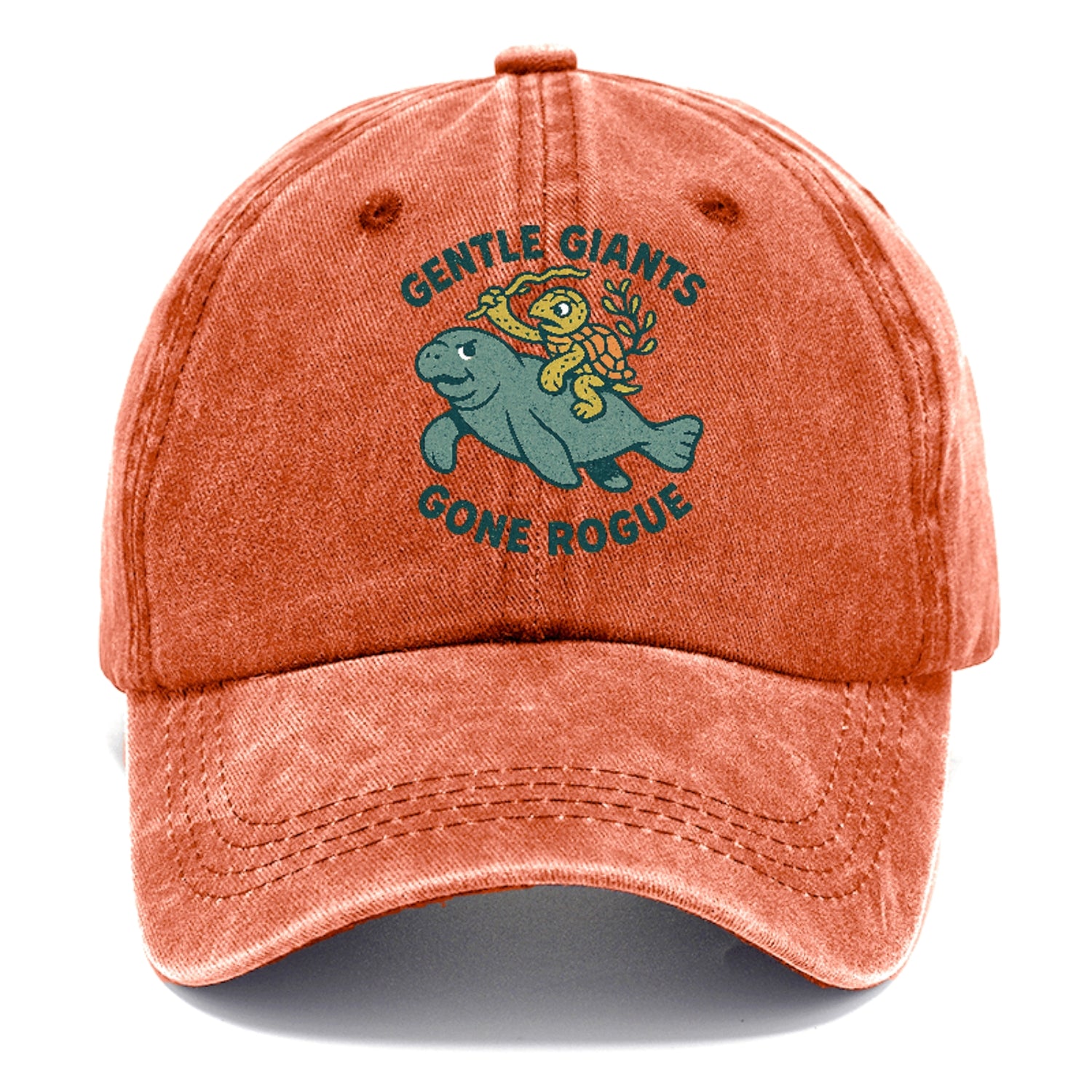 rogue-cartoon Hat