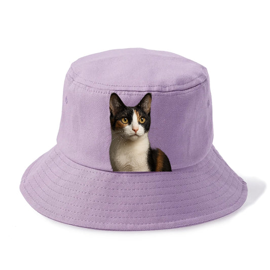 japanese-bobtail-playful-charm Hat