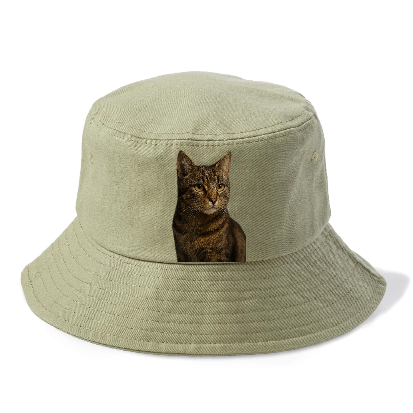 barn-cat-rustic-charm Hat