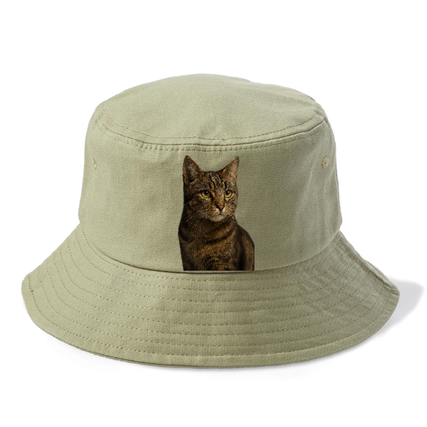 barn-cat-rustic-charm Hat