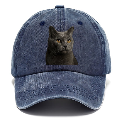chartreux-quiet-grace Hat