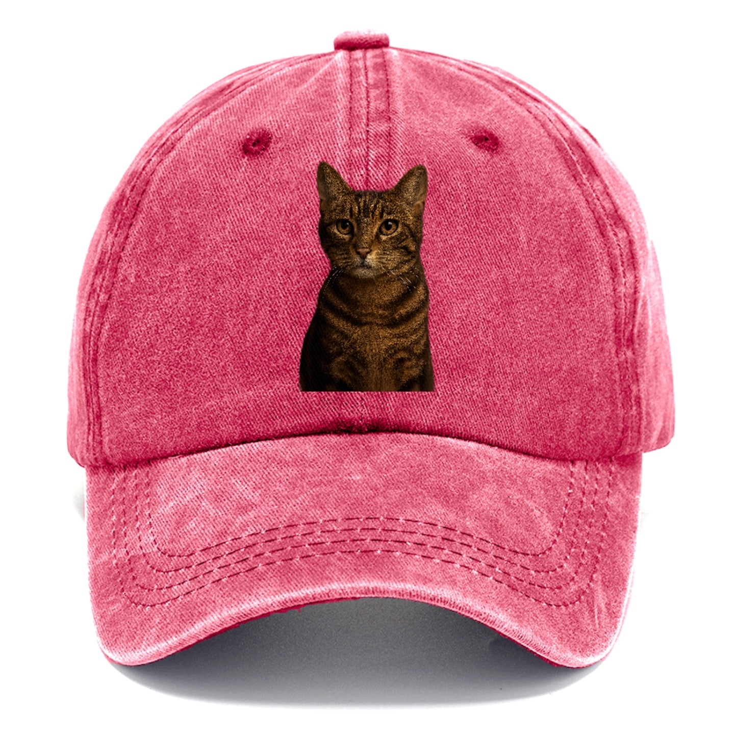 brown-tabby-playful-spirit Hat