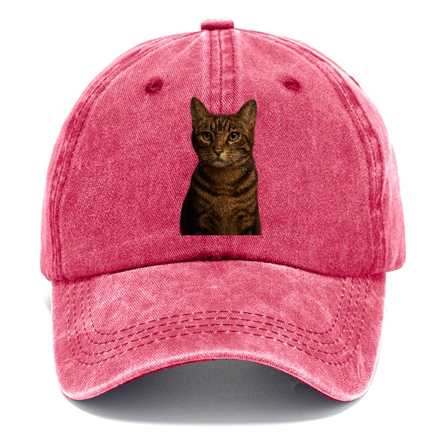 brown-tabby-playful-spirit Hat
