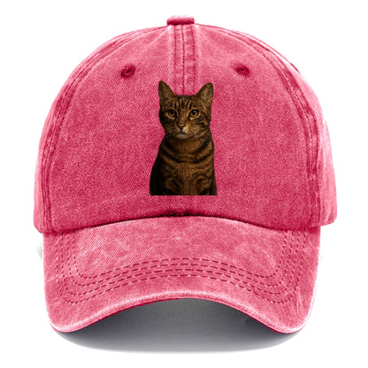 brown-tabby-playful-spirit Hat
